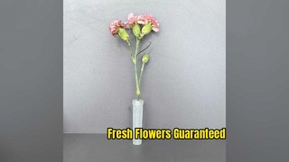 2026 New Design GORGECRAFT 30Pcs Floral Water Tubes with Picks 11.8 Inch Green Plastic Extendable Vi